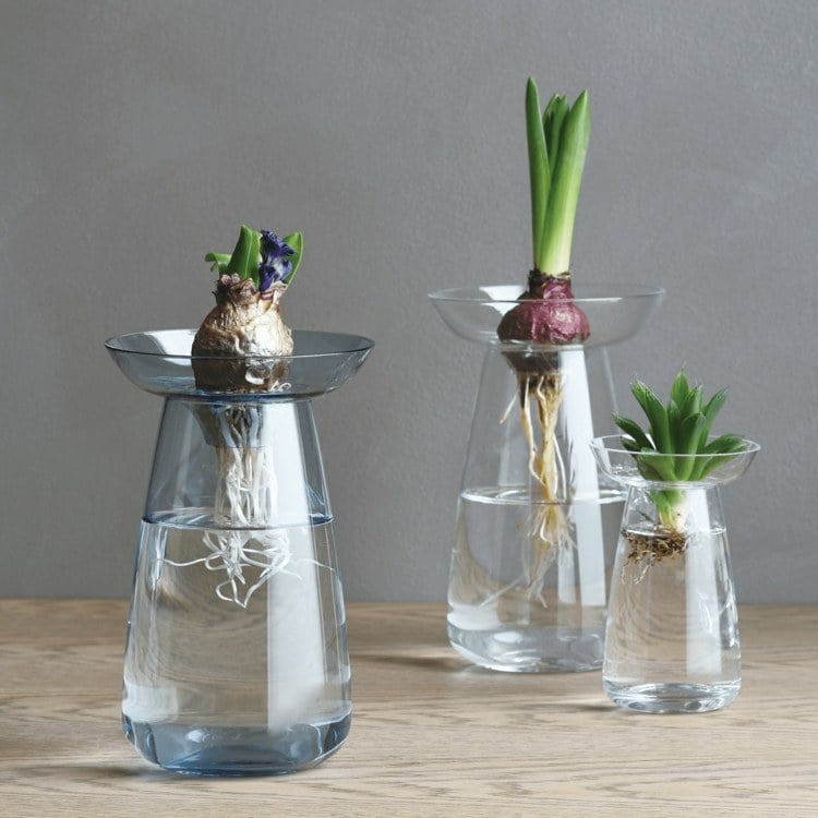 Originelle Vase mit schalenförmiger Spitze für verschiedene Blumen