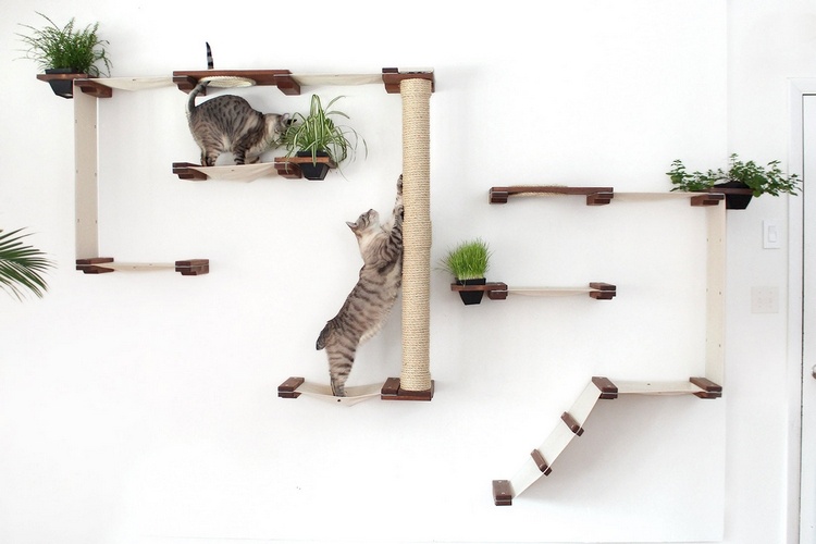 agility parcour hindernis und hängebrücke für katzen an der wand mit pflanzen selber bauen und installieren