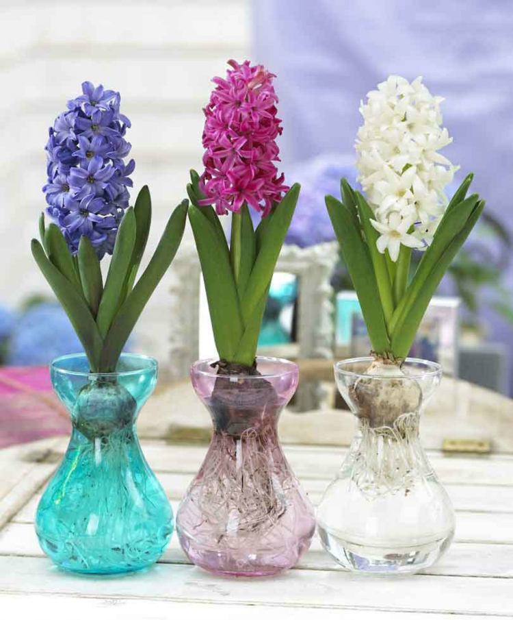 bunte Vasen und Blüten in verschiedenen Farben