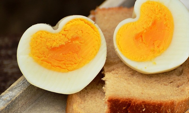 Cholesterin und Ernährung hart gekochte Eier gesund