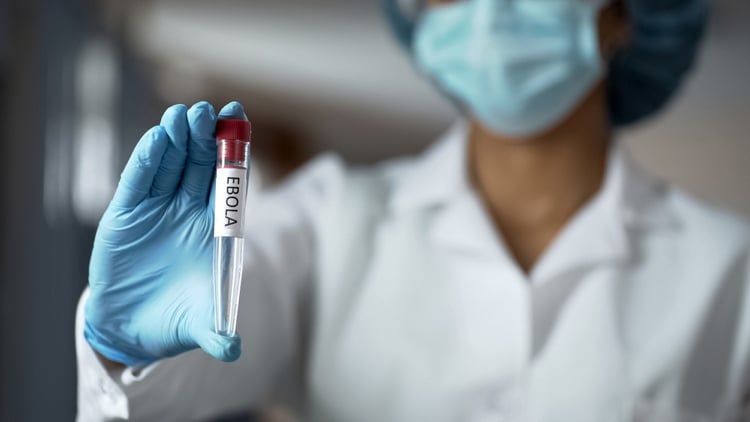 Ebola-Impstoff wirksam bewiesen neue Studie