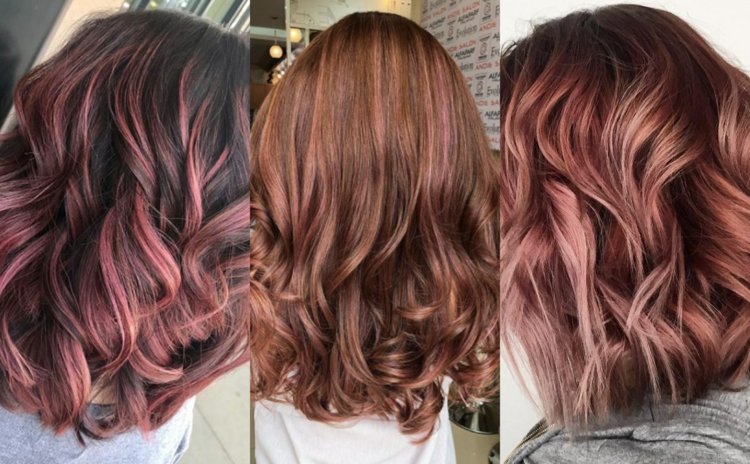 Rose Braun Haare lila Ombre Strähnen selber färben Anleitung Frisurenideen Damen kurze Haare