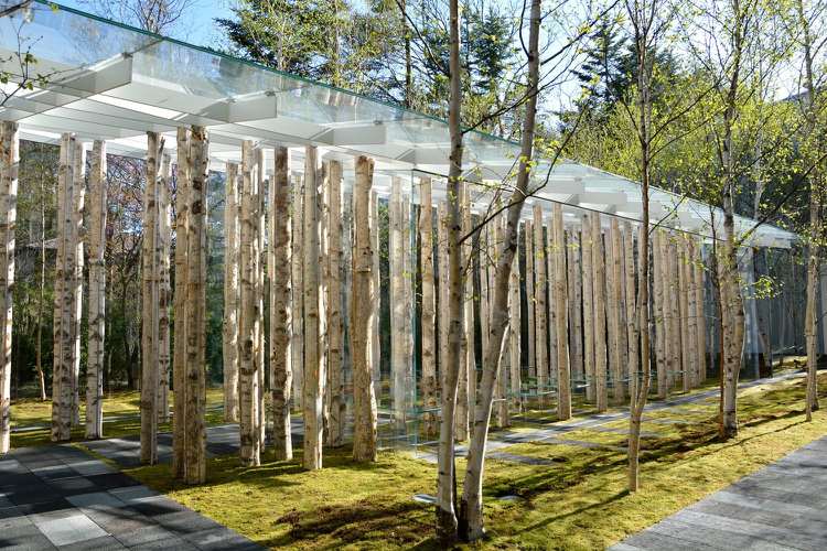moderne Kapelle in Japan aus Glas und Birkensämmen