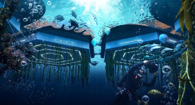 unterwasser präsentation von oceanix city die schwimmende stadt in 3d