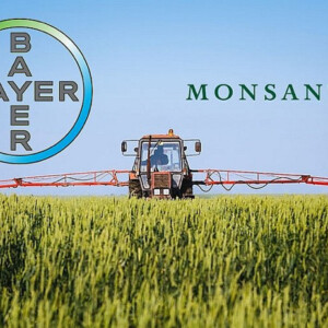 Bayer zu Schadenersatz verurteilt wegen Tochter Monsanto