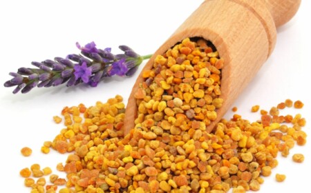 Blütenpollen Wirkung und Unterschied zu Bienenpollen - Info und Tipps