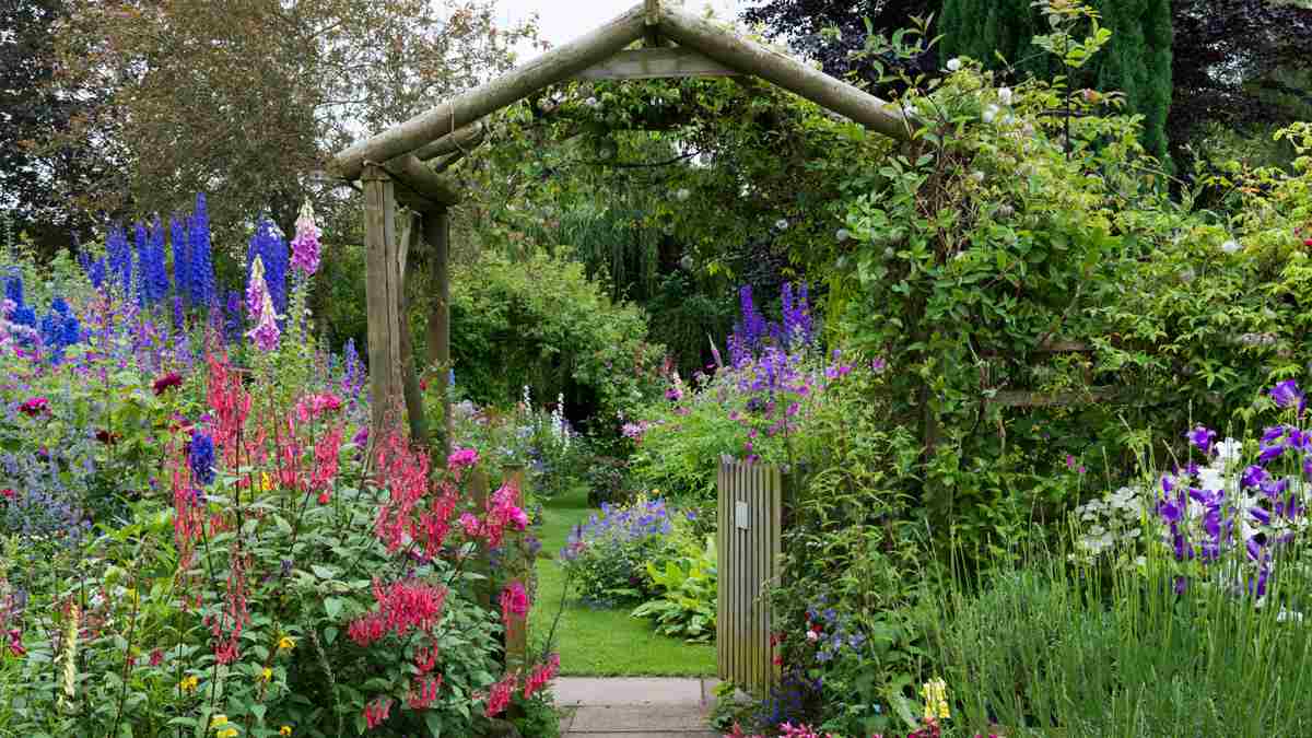 Cottage Garten Pflanzen Pflegeleichte Pflanzplan Skizzen Ohne Rasen