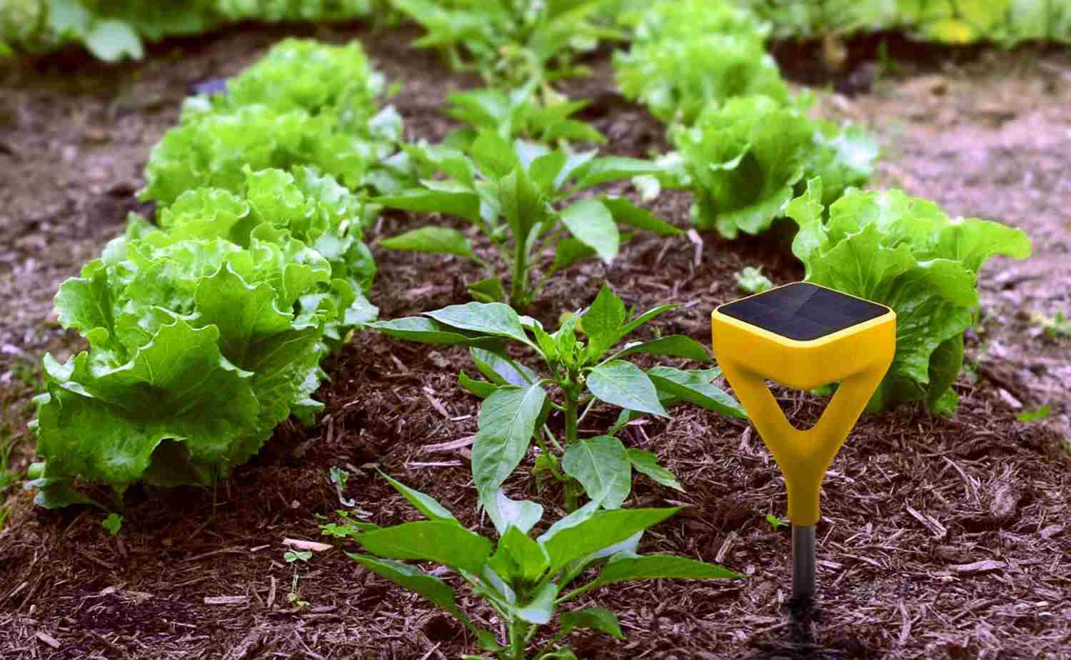 Garten und Terrasse Ideen Smart Gardening Gartentrends