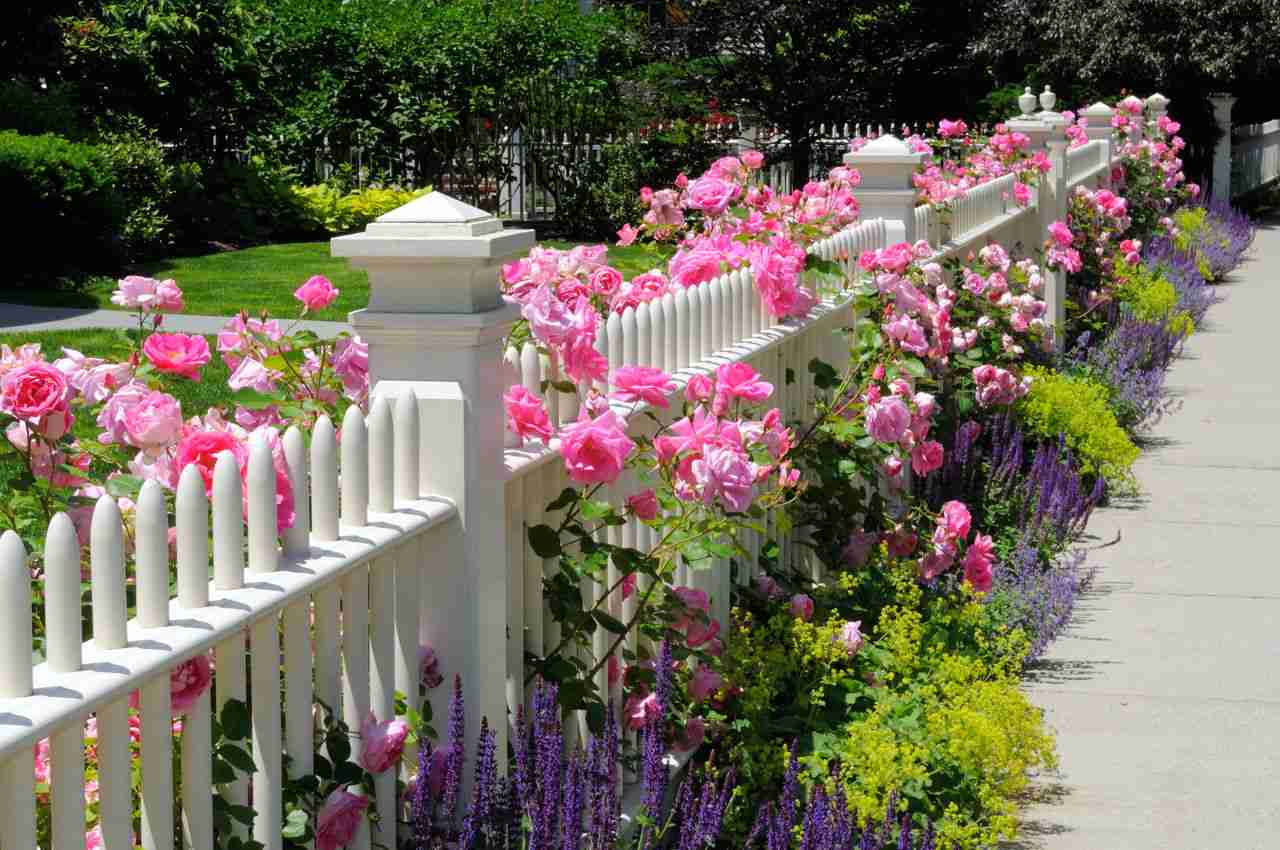 Garten und Terrasse Ideen Zaun mit Blumen Rosen Gartentrends 2019