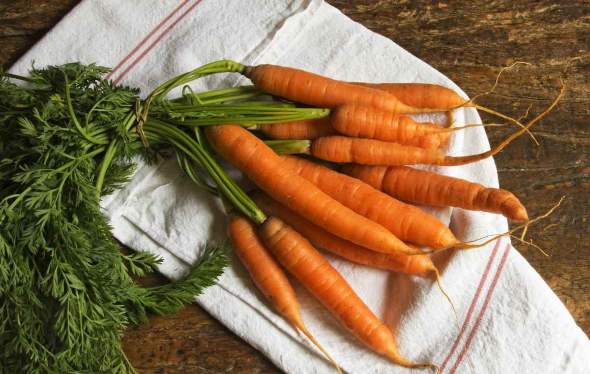 Mittel gegen Heuschnupfen Pollenallergie Maßnahmen Karotten