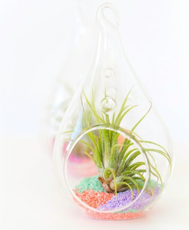 Pflanzgefäß aus Glas zum Aufhängen mit Luftpflanze und fabrigem Kies