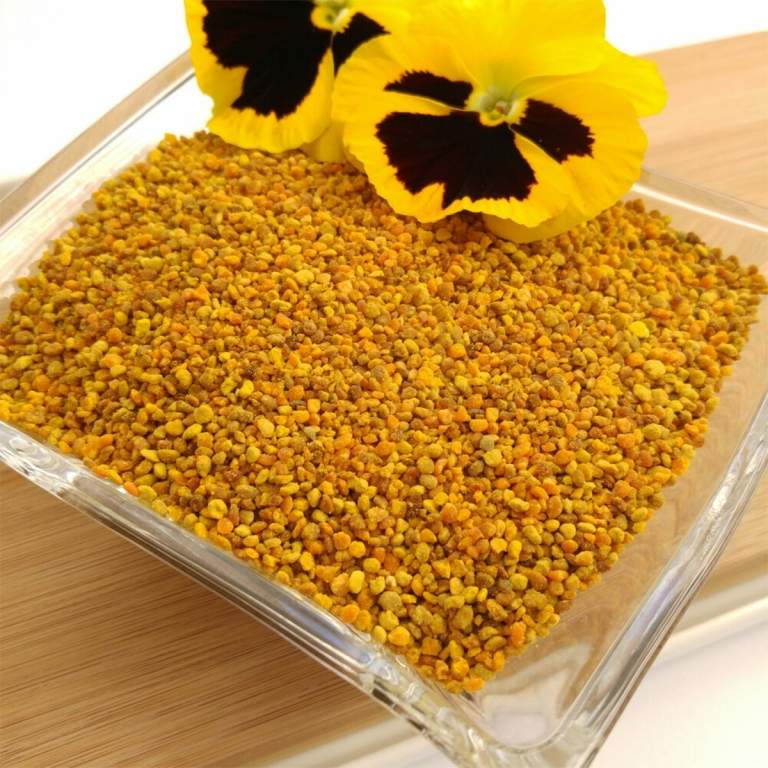 Pure Blüten- und Bienenpollen können auf leeren Magen verzehrt werden