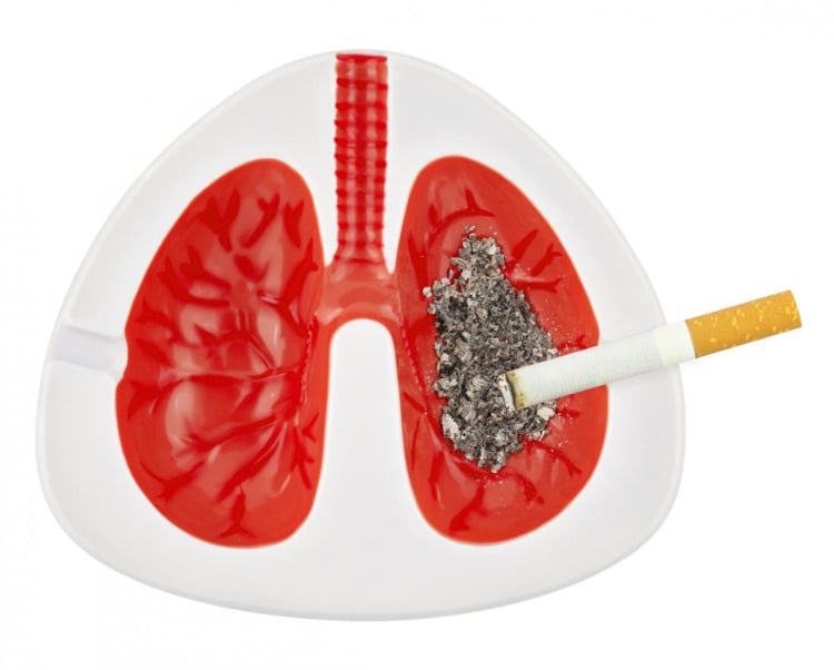 aschenbecher in form von lungen mit zigarette