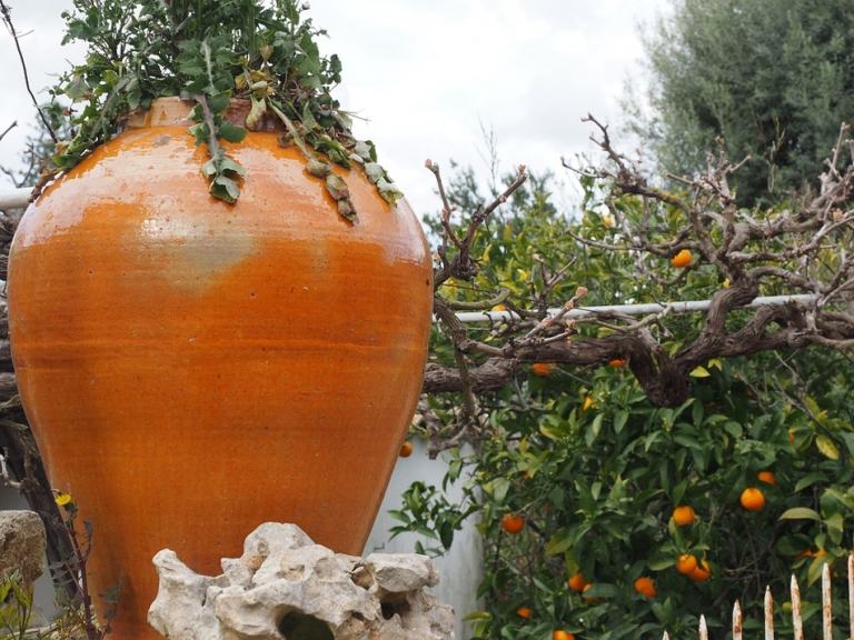 Amphore bepflanzen Orangenbaum modern Terrakotta Blumenkübel