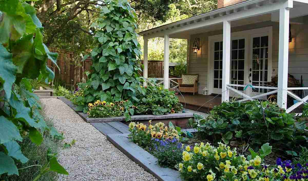 Attraktive Gartengestaltung mit Kürbispflanze und essbaren Blumen in Hochbeeten