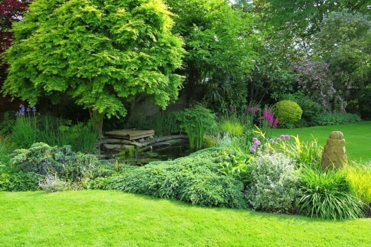 Cottage Garten anlegen mit Teich, Gräsern, Bäumen und Rasenfläche