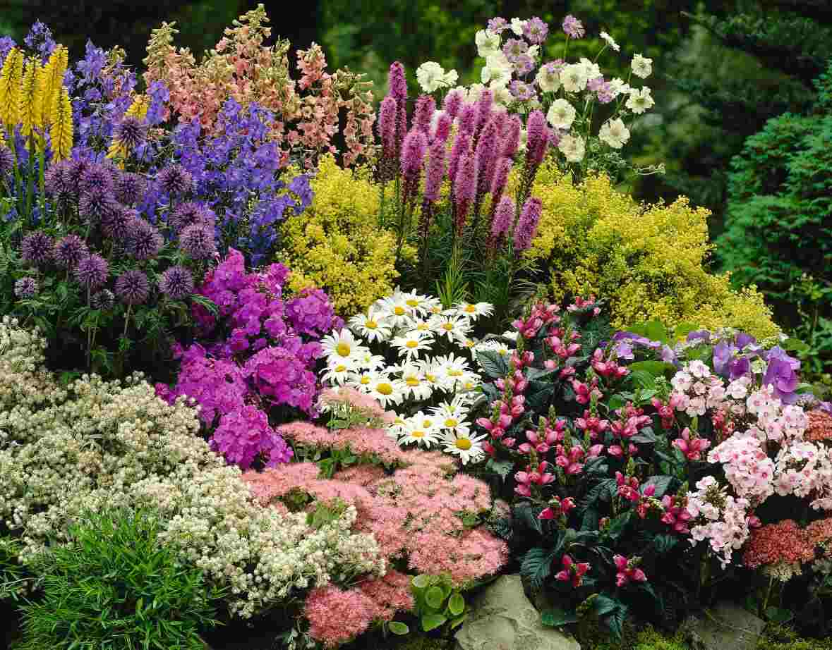 Cottage Garten anlegen mit bunten Blumen und Stauden für die Beete