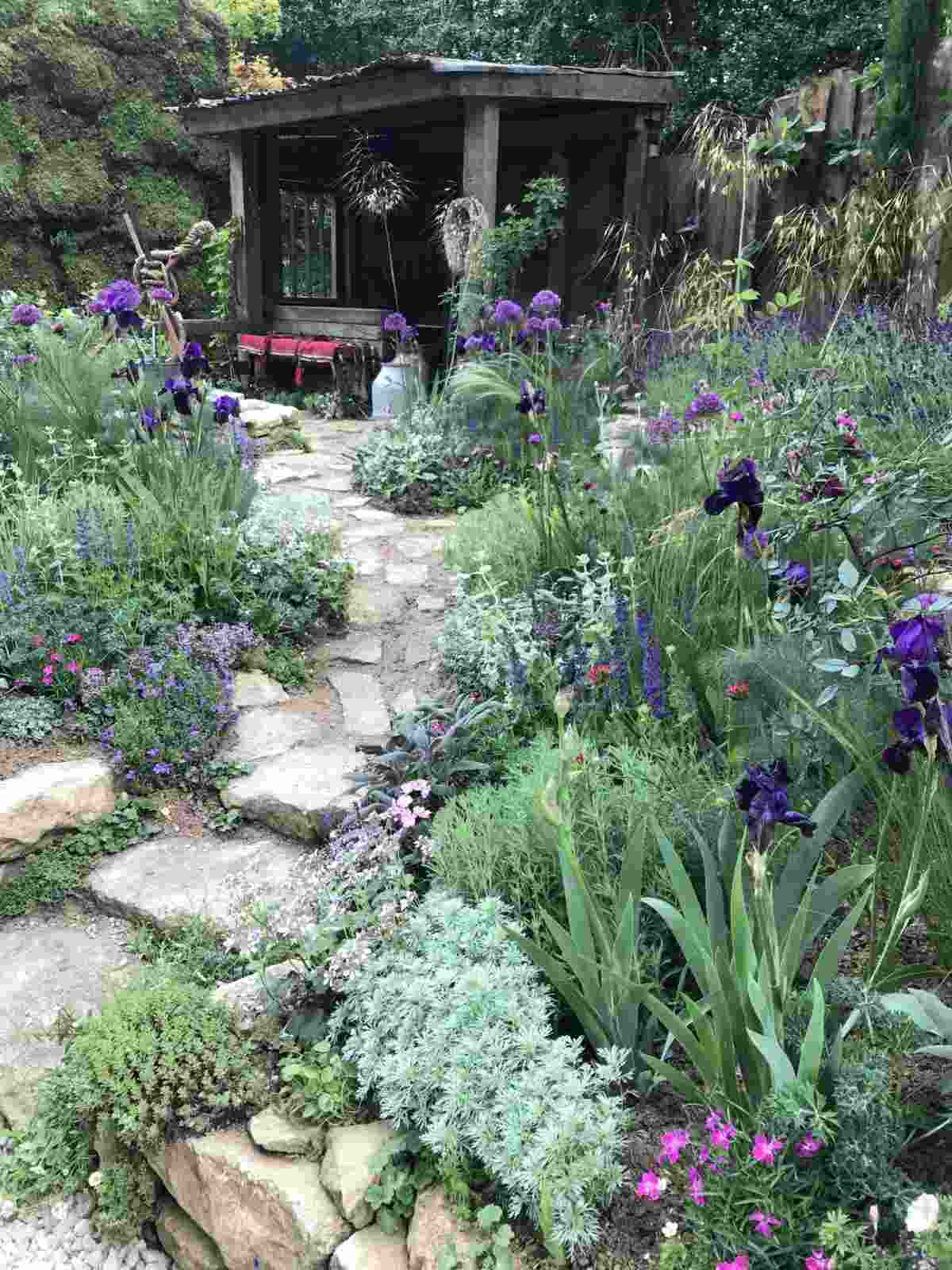 Ein Gartentrend 2019 ist, eine natürliche Atmosphäre zu gestalten mit viel Grün und Steinen