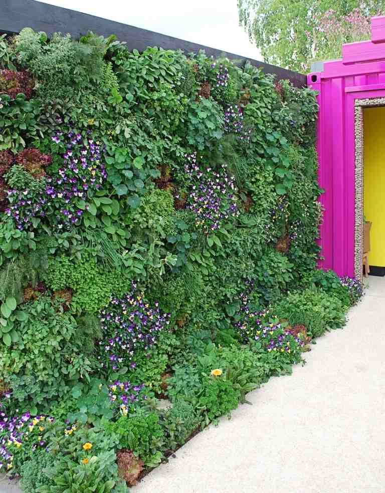 Ein Gartentrend 2019 sind begrünte Wände und Dächer