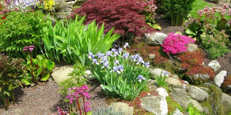 Einen Steingarten können Sie in sonnigen und trockenen toten Ecken gestalten