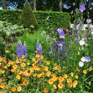 Gartentrend 2019 mit bunten Blüten in Bonbon-Farben