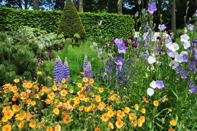 Gartentrend 2019 mit bunten Blüten in Bonbon-Farben