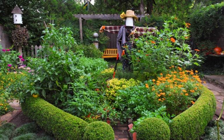 Gemütlicher Cottage Garten mit essbaren Pflanzen und Vogelscheuche