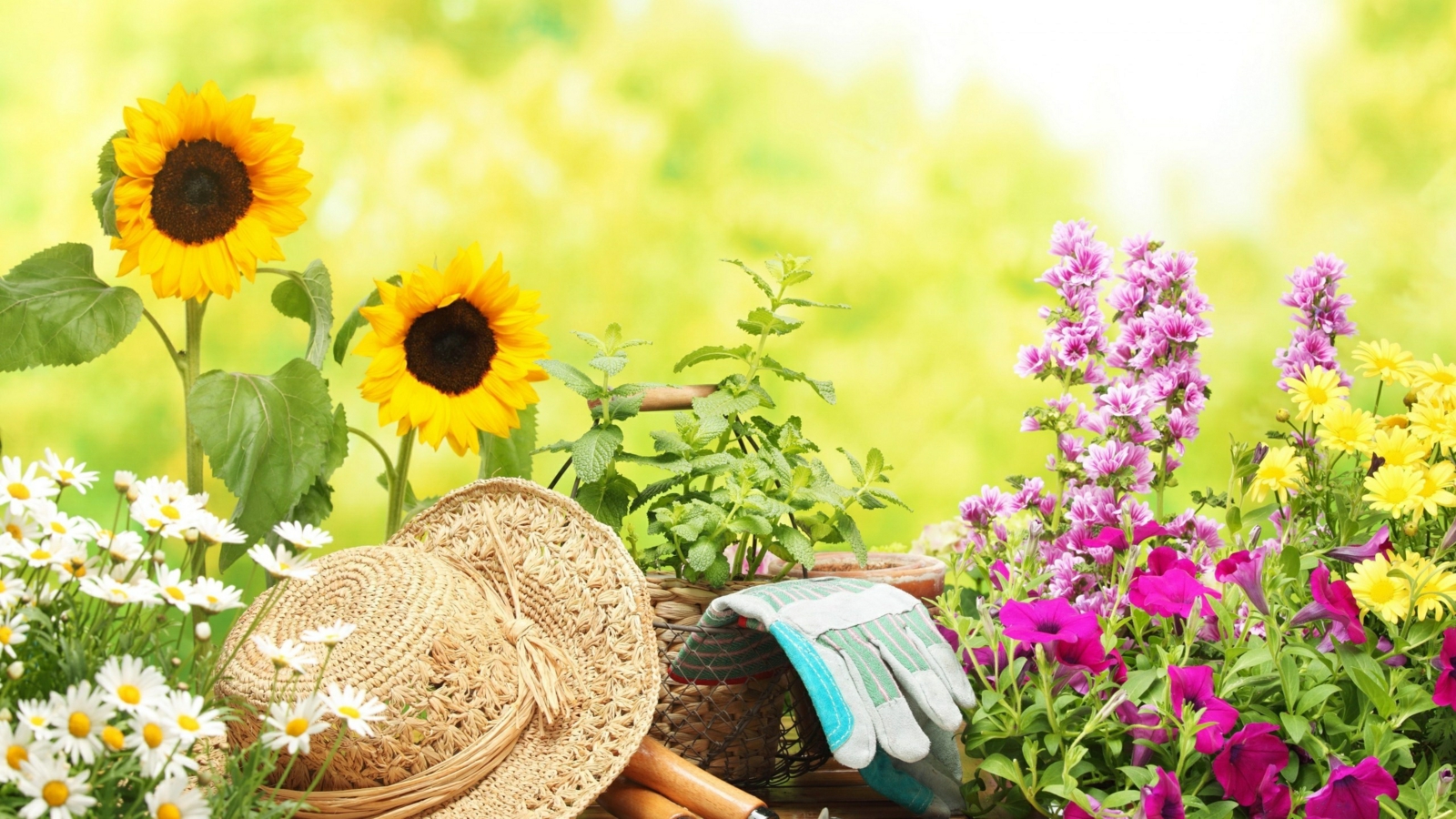 Hügelbeet anlegen Anleitung einfach Blumen bepflanzen Sommer Garten gestalten