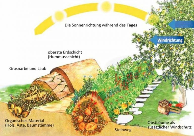 Hügelbeet anlegen Anleitung organisches Material Standort Blumen bepflanzen Gartentrends-resized