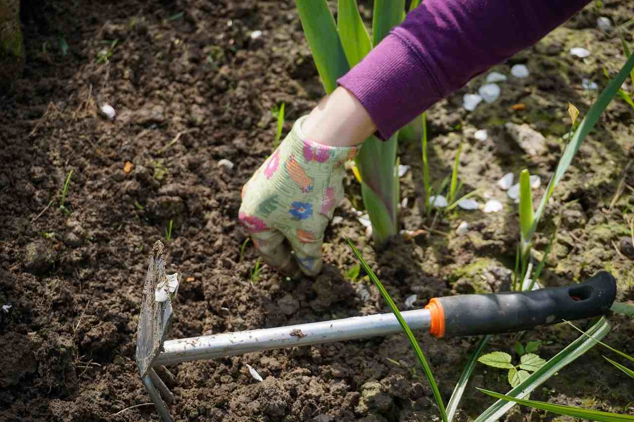 Hügelbeet anlegen bepflanzen Anleitung Gemüse Sorten Gartentrends