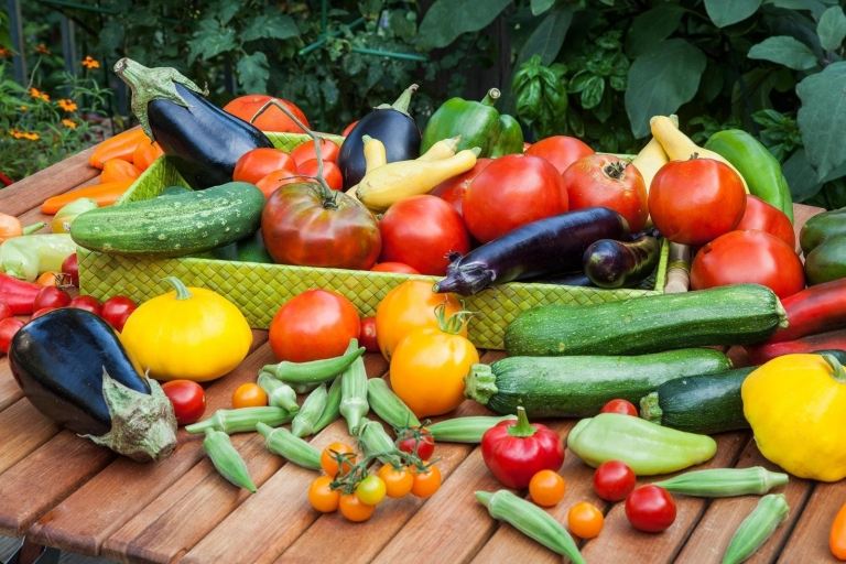 Hügelbeet anlegen bepflanzen Anleitung Gemüse Tomaten Sorten Gartentrends