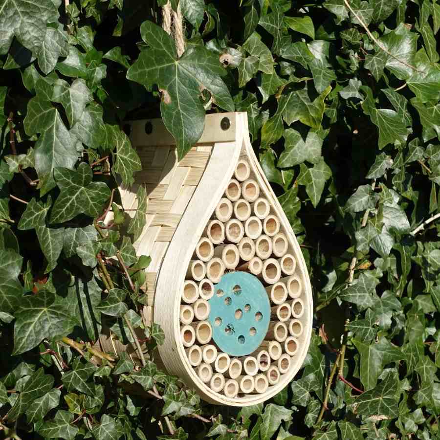 Insektenhotel bauen Bienen Öffnungen Efeu Sonne aufhängen