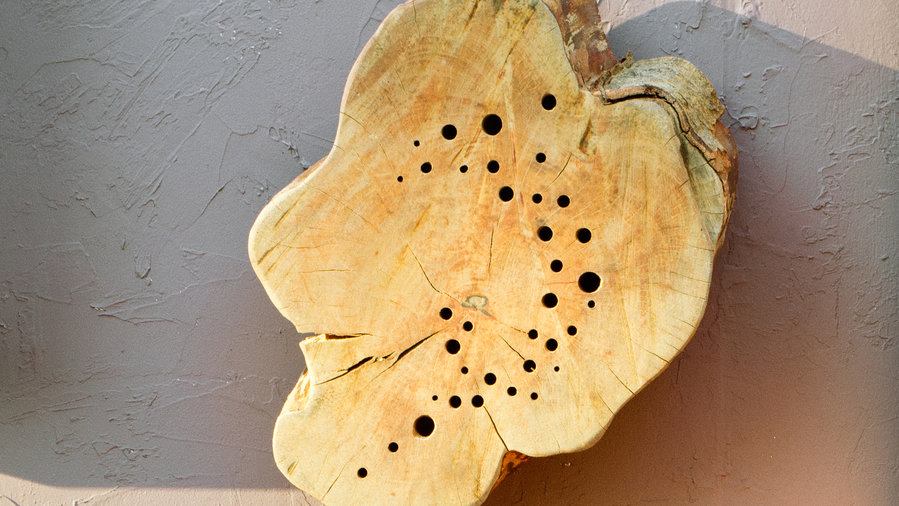 Insektenhotel bauen Holzstab durchbohren Wand aufhängen Standort Sonne