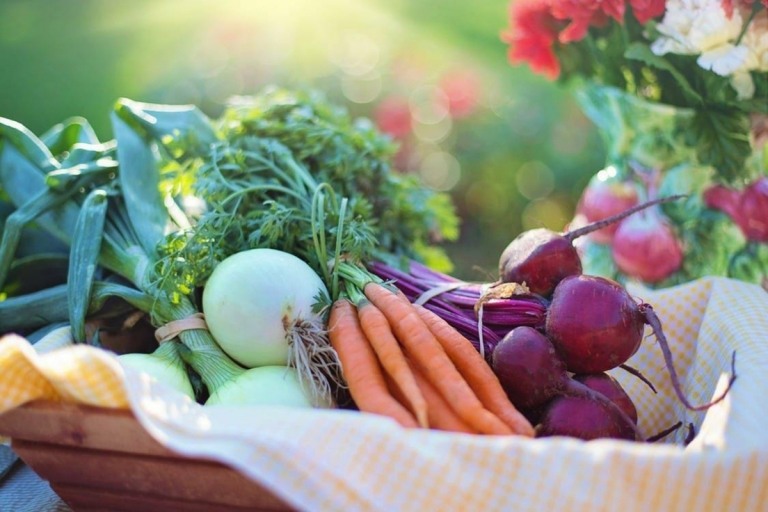 Obst- und Gemüseanbau und dekorative Gestaltung in einem mit Foodscaping