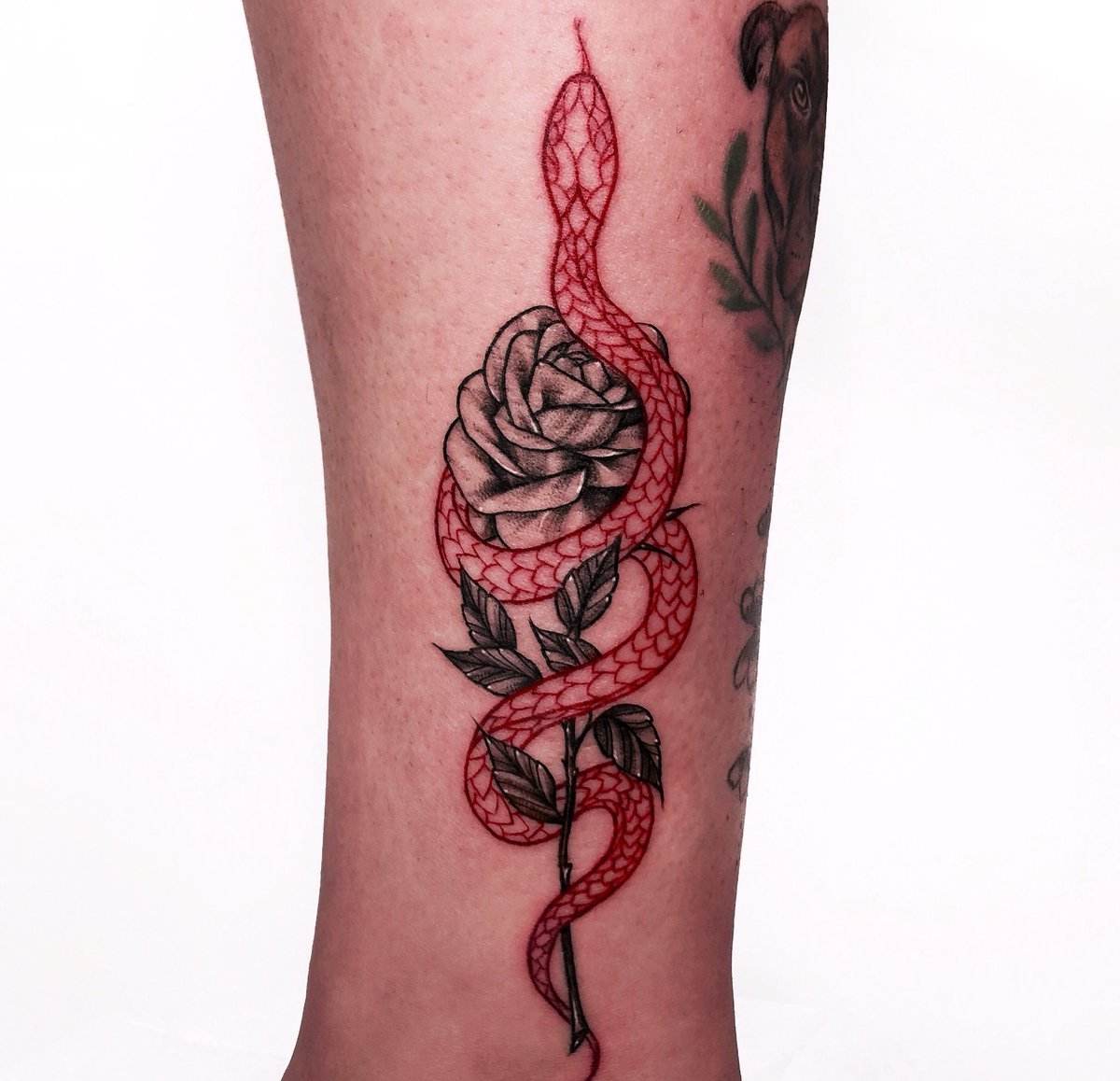 Rote Tattoos in Schwarz-Rot - Idee mit Rose und Schlange