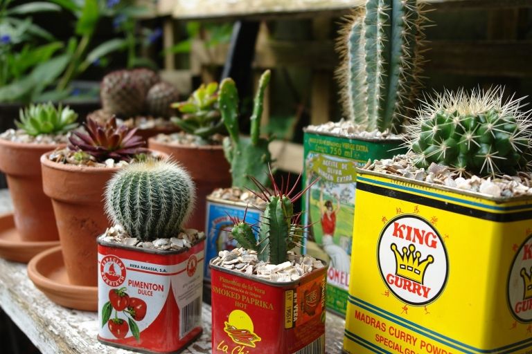 Upcycling Ideen Garten Dosen Pflanzenhalter Kaktus Sukkulente anrichten Anleitung
