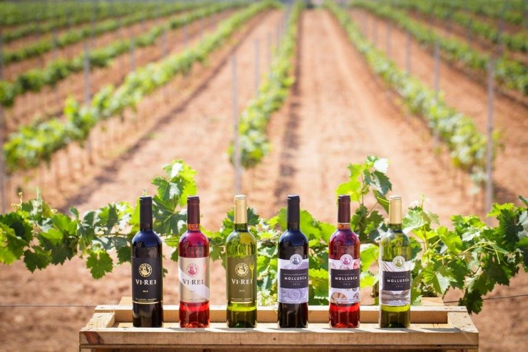 Urlaub auf Mallorca Weinprobe Unterhaltung Tipps Paare