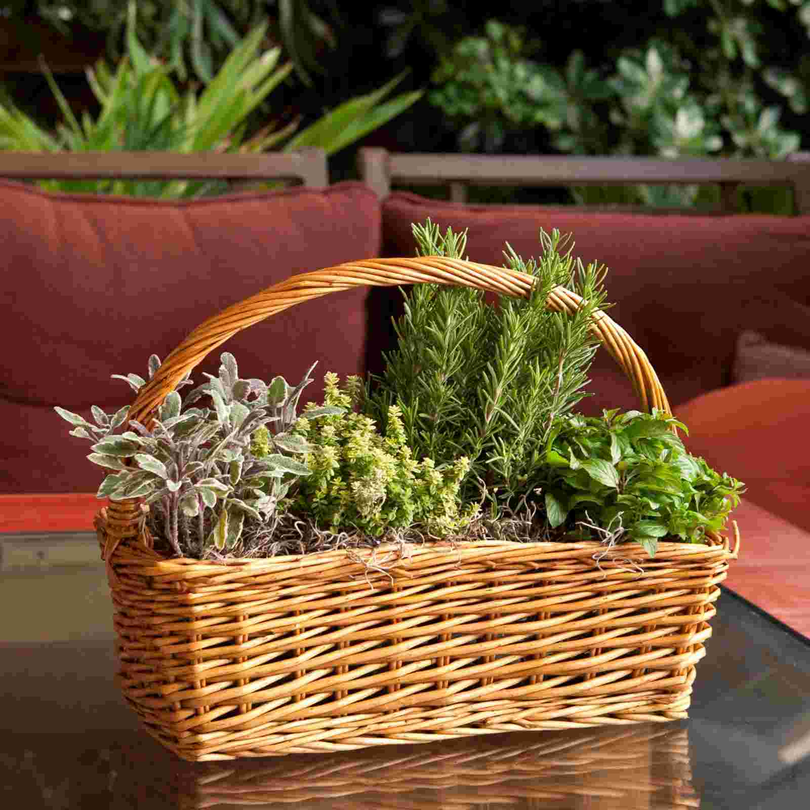 Weidenkorb bepflanzen einfach Wohndeko Wohnaccessoires Garten Sofa
