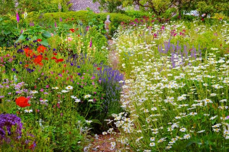 Wiesenblumen und Stauden für die Gartenbeete wählen und einen Cottage Garten anlegen