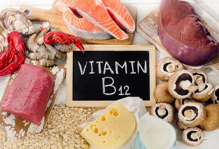 vitamin b12 enthaltende lebensmittel wie pilze lachs schalentiere rotes fleisch käse und milch