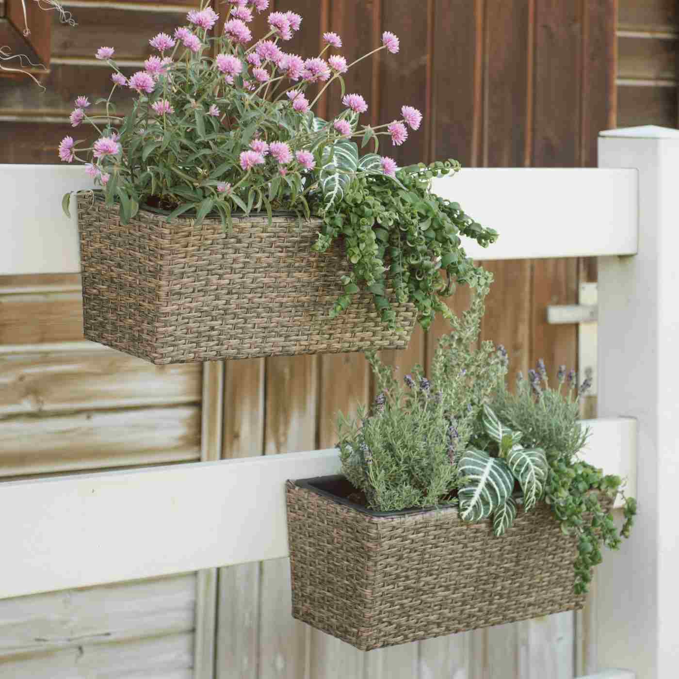 Balcony flanges for bees from crabs, sprouts and flowers together