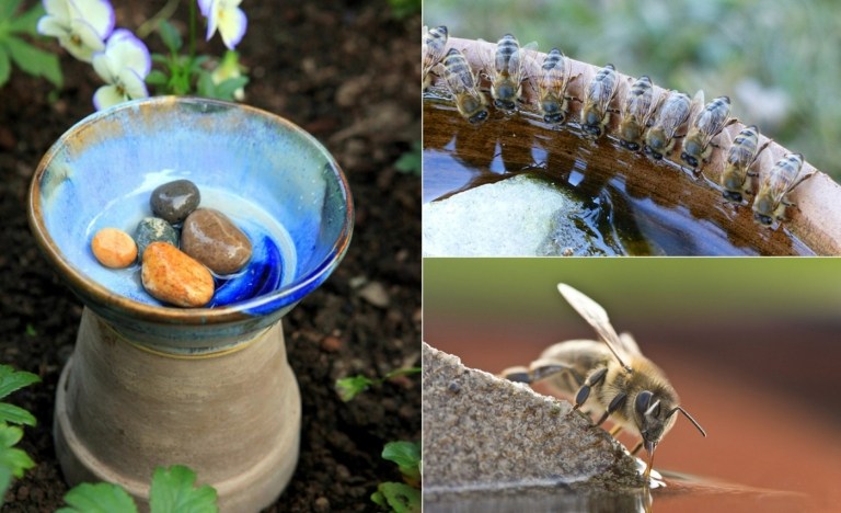 Bienentränke bauen für den Garten - Einfache DIY-Projekte zum Nachmachen
