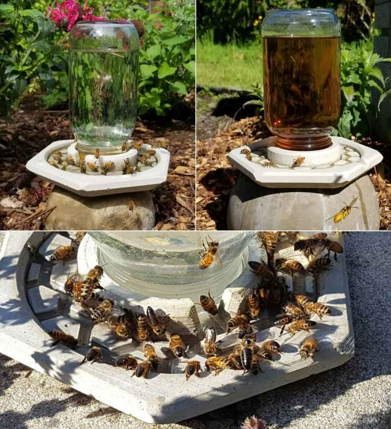 Bienentränke kaufen mit Einweckglas und Auffang-Behälter für das Wasser