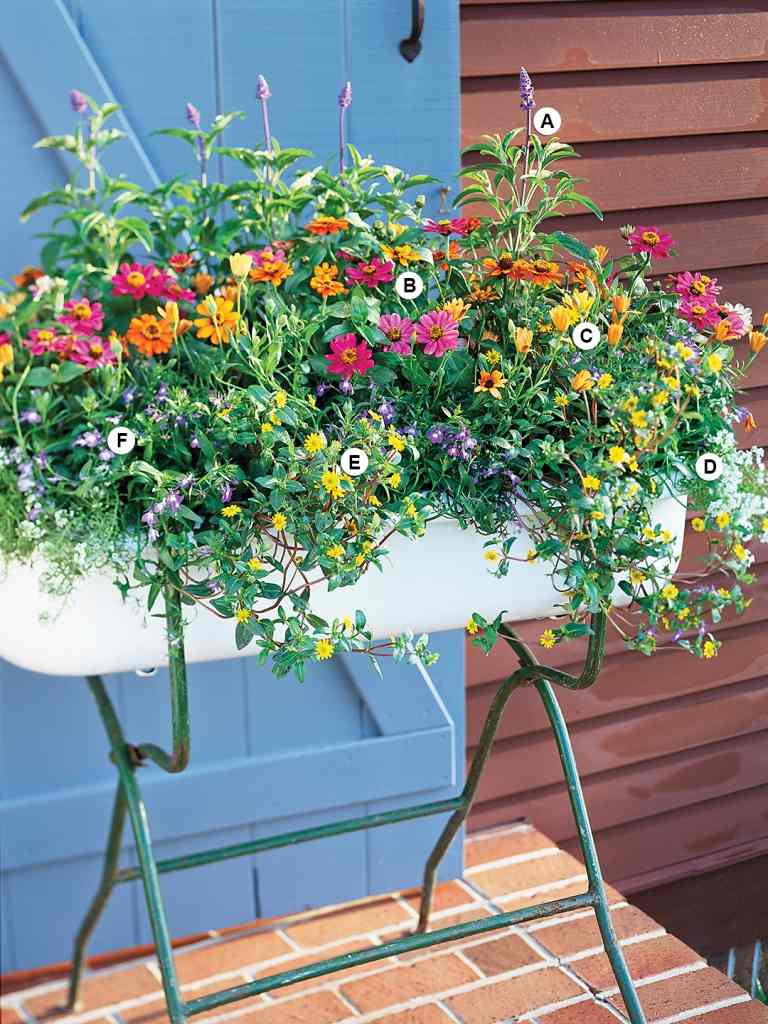 Bunte Balkonpflanzen für Bienen wie Zinnie, Salbei, Lobelie in einem stehenden Blumenkasten