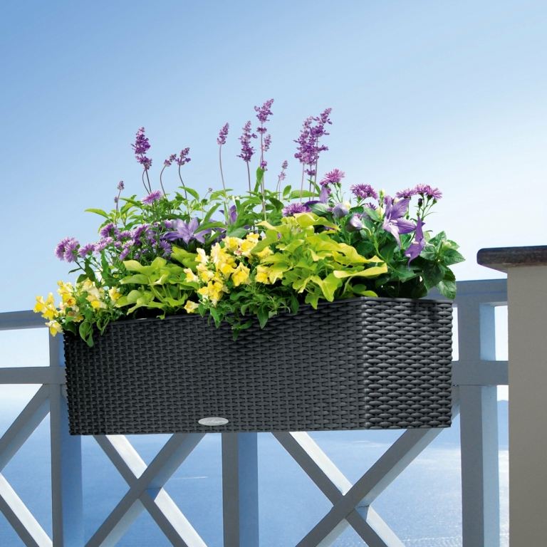 Das Geländer des Balkons mit schönen und nützlichen Blumen schmücken