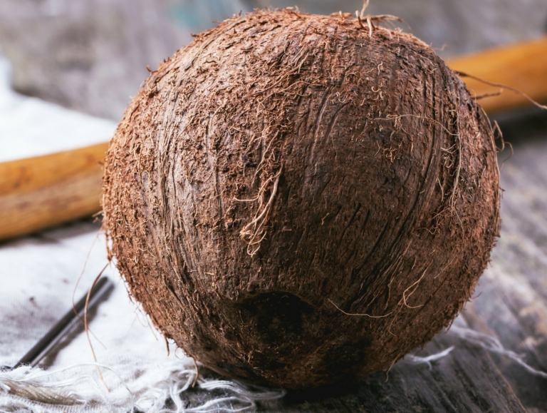 Die Kokosnuss muss reif sein und an einem warmen Ort keimen