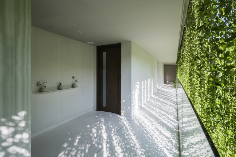 Die grüne Fassade auf Pflanzen schafft ein interessanten Licht- und Schattenspiel im Inneren