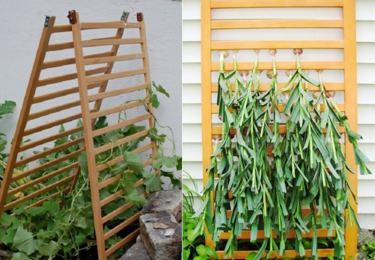 Gitterbetten umbauen für Spalier oder Gitter zum Trocknen von Gemüse und Kräutern
