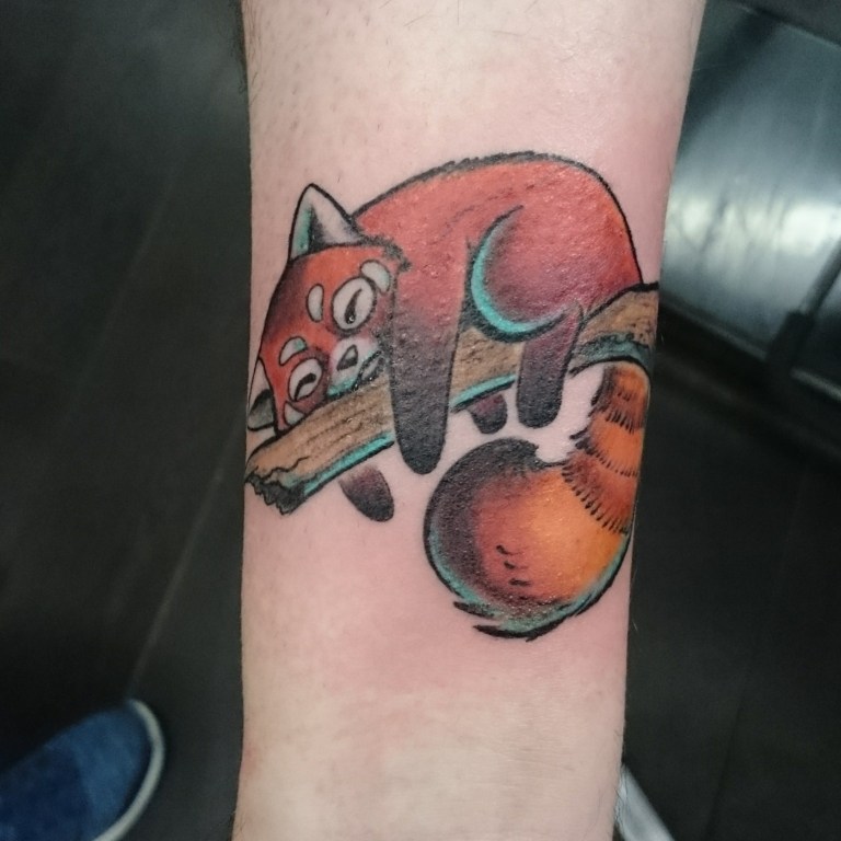 Roter Panda Tattoo in Orange auf einem Ast für den Unterarm