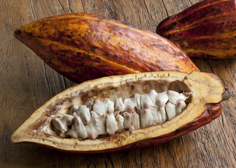 Schwarze Seife Kakaobohnen gesund Palmöl Gesichtsmaske Hautpflege